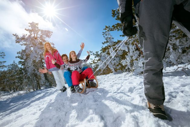 Rodeln im Winterurlaub in Bad Hofgastein